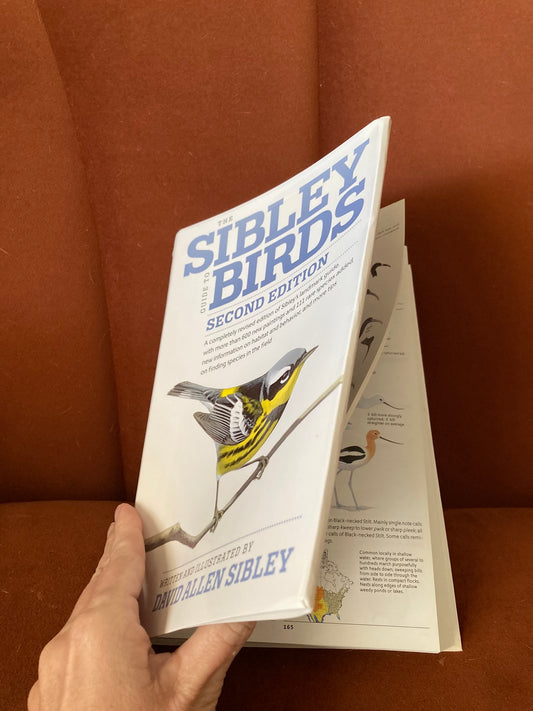 opening sibley bird guide book full of bird illustrations