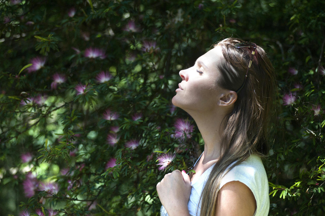 Cultivating Calm: The Mental Health Benefits of Gardening