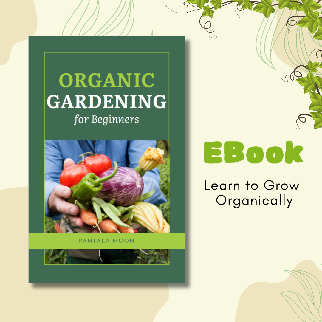 Organic Gardening For Beginners 45 page EBook